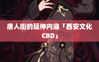 唐人街的延伸内涵「西安文化CBD」