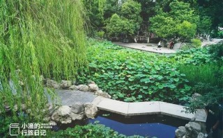 今成免费景区，西安人夏天都该来逛逛！600年前只有“贵族”能进，西安放松娱乐公园