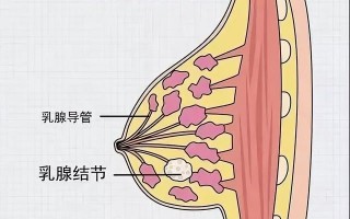 西安治疗男性生殖病什么医院好一点「西安生殖科哪个医院好」