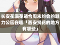 长安花满苑适合周末约会的魅力公园在哪「西安赏花的地方有哪些」
