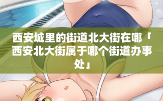 西安城里的街道北大街在哪「西安北大街属于哪个街道办事处」