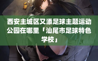 西安主城区又添足球主题运动公园在哪里「汕尾市足球特色学校」