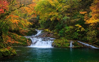 西安旅游攻略，「西安周边特色休闲山庄美景||黄柏塬-」