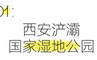 西安4个吸氧好地方！西安夜娱美景放松全部免费！