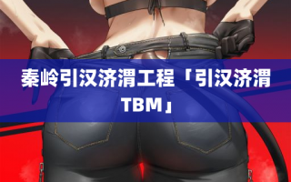 秦岭引汉济渭工程「引汉济渭TBM」