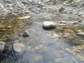 秦岭七十二峪之汤峪河！西安周边玩水，夏天纳凉好去处