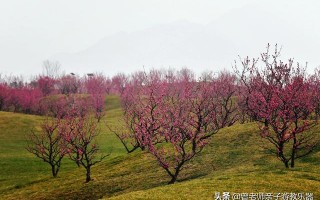 西安值得带的东西「西安有什么好耍的」