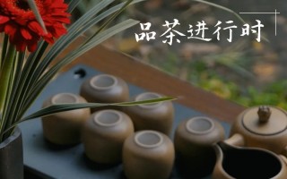 带你梦回长安，邂逅陕茶香！碑林这几处大隐于市的品茶地，品茶预约