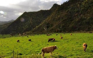 西安旅游攻略｜秦岭小镇，你不得不去的地方