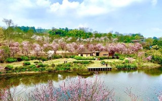 西安周边游｜在这家宝藏露营地