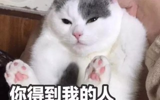 西安碑林博物馆的猫系首领，势力强大「西安碑林博物馆“噬元兽”飒露黄——噬元兽」