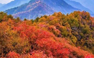 免费！！西安最美赏红叶景点走红，被称为“西安的香山”