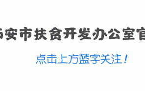 西安大嘴鱼传媒怎么样？「西安农村休闲农业」