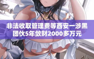 非法收取管理费等西安一涉黑团伙5年敛财2000多万元