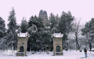 还不得把中国人全给迷死！欣赏一下西安的雪景