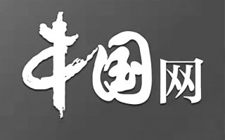 天业股份未披露对外担保余额共计65.09亿元