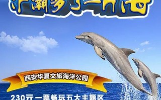 西安浐白鲸、海豚、海豚、企鹅扎堆来了