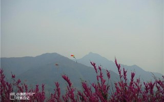 西安进山休闲一日游最佳路线，周末西安进山休闲一日游「西安旅游攻略，」