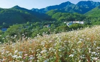 西安休闲乡村之旅西安休闲乡村之旅「西安休闲乡村之旅」