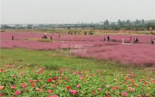 西安这条网红花海、主题乐园、主题乐园、民俗小镇全都有