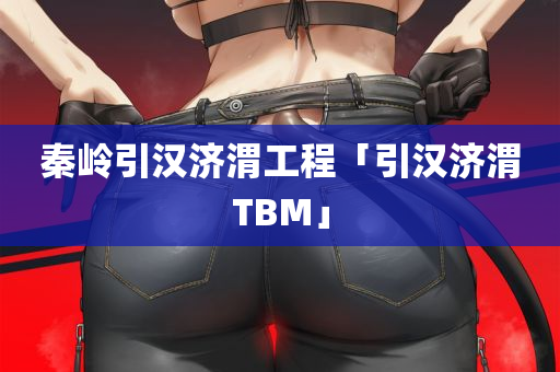 秦岭引汉济渭工程「引汉济渭TBM」