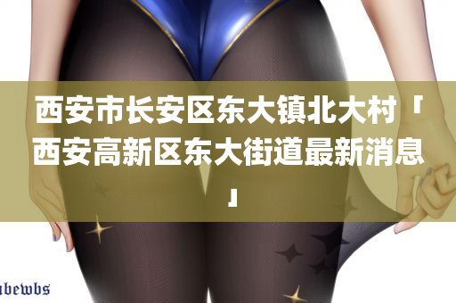 西安市长安区东大镇北大村「西安高新区东大街道最新消息」