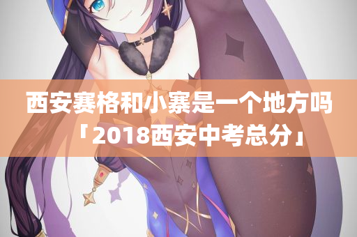 西安赛格和小寨是一个地方吗「2018西安中考总分」