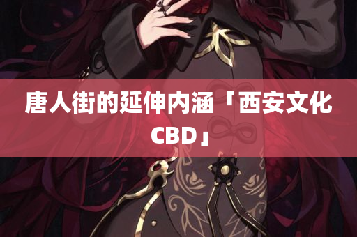 唐人街的延伸内涵「西安文化CBD」