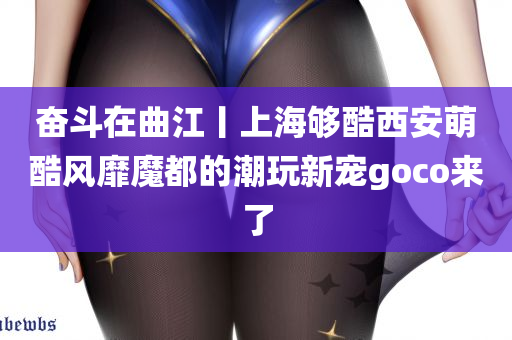 奋斗在曲江丨上海够酷西安萌酷风靡魔都的潮玩新宠goco来了