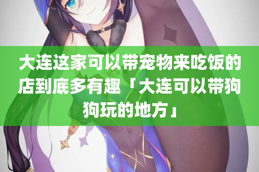 大连这家可以带宠物来吃饭的店到底多有趣「大连可以带狗狗玩的地方」