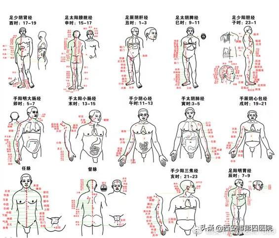 西安足浴指压按摩(足部反射区按摩)  第4张