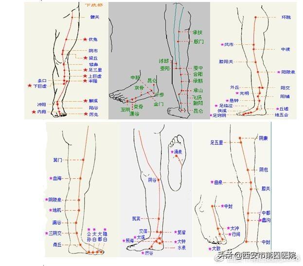 西安足浴指压按摩(足部反射区按摩)  第9张