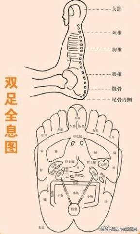 西安足浴指压按摩(足部反射区按摩)  第8张