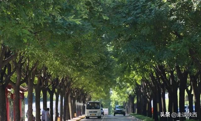 西安北大街足浴按摩(你知道的其实并不多)  第12张