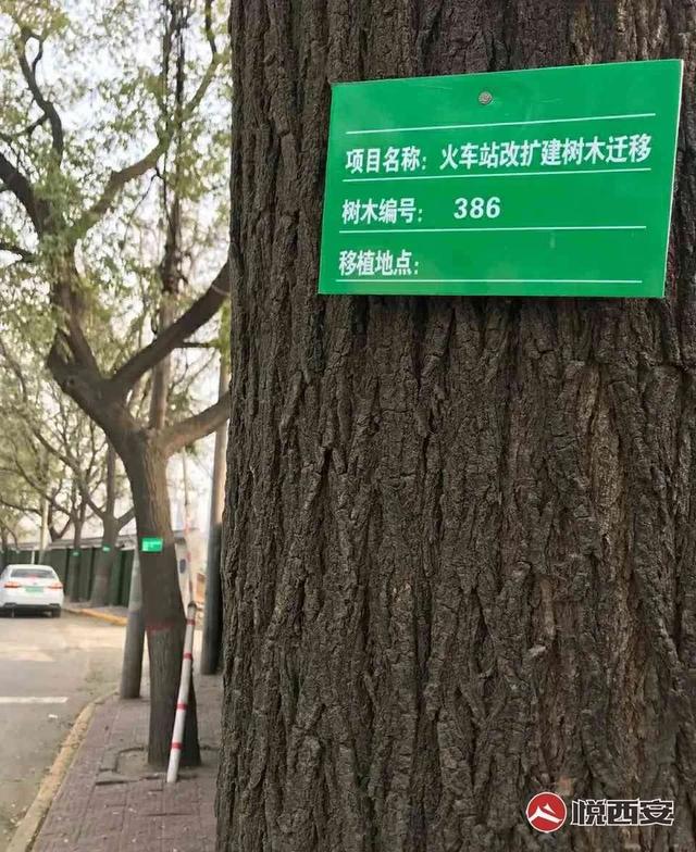 西安自强东路足浴按摩保健(17个月后“变身”下穿隧道)  第11张