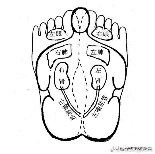 北京柔式足浴按摩西安(足部反射区按摩)  第5张