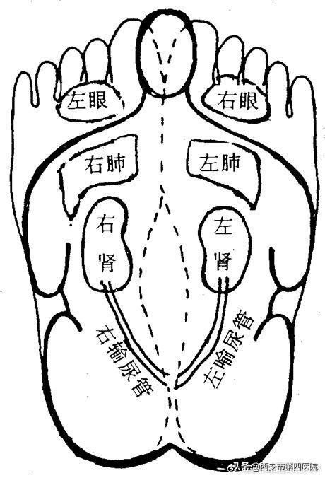 北京柔式足浴按摩西安(足部反射区按摩)  第9张