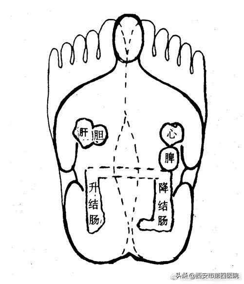 北京柔式足浴按摩西安(足部反射区按摩)  第8张