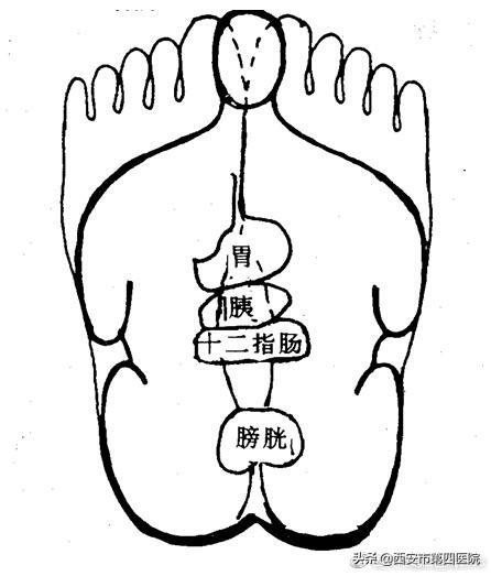 北京柔式足浴按摩西安(足部反射区按摩)  第10张