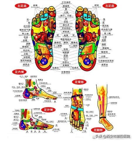 北京柔式足浴按摩西安(足部反射区按摩)  第13张