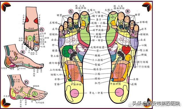 北京柔式足浴按摩西安(足部反射区按摩)  第12张