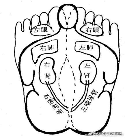 北京柔式足浴按摩西安(足部反射区按摩)  第11张