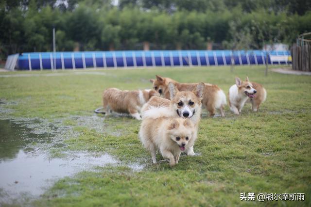 西安休闲会所排行榜「西安休闲会所消费」  第5张