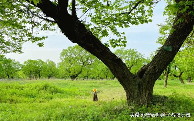 西安哪里有休闲会所「2022年五一西安70个免费帐篷露营」  第46张