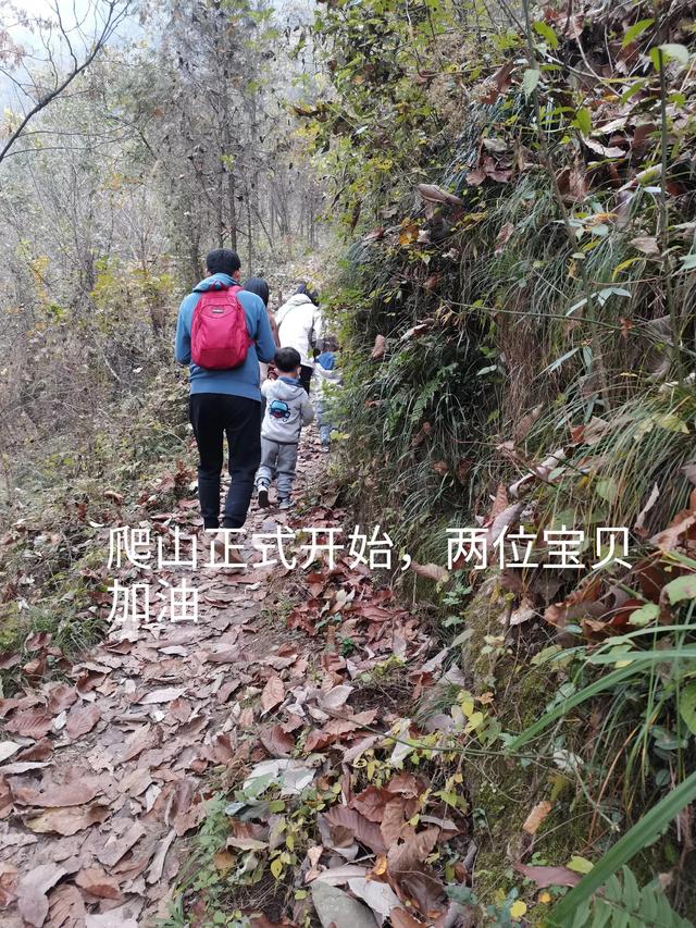 清远观音山在哪里,疑是银河落九天  第12张