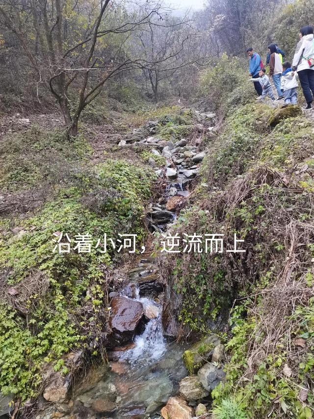 清远观音山在哪里,疑是银河落九天  第18张