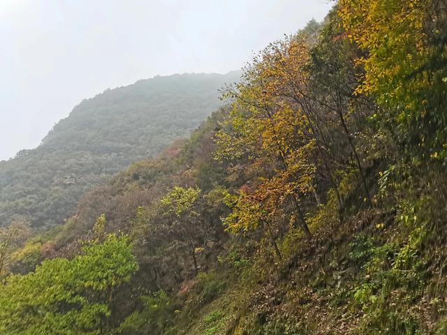 清远观音山在哪里,疑是银河落九天  第23张