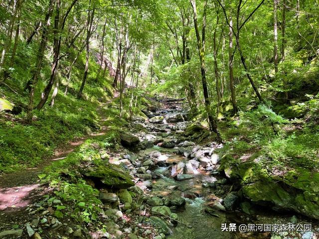 优秀小学生作文,夏天  第24张