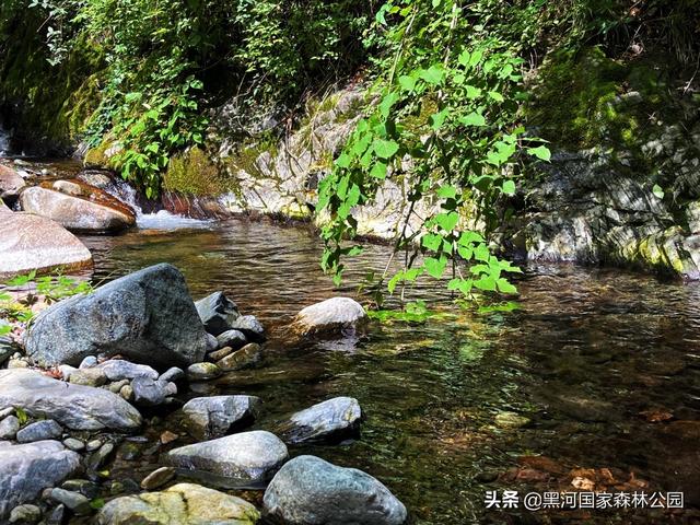 优秀小学生作文,夏天  第25张