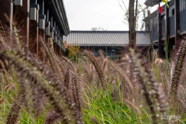 澳嘉设计藏匿在诗经里的5000余㎡民宿酒店,台北有带厨房的酒店或民宿吗  第2张